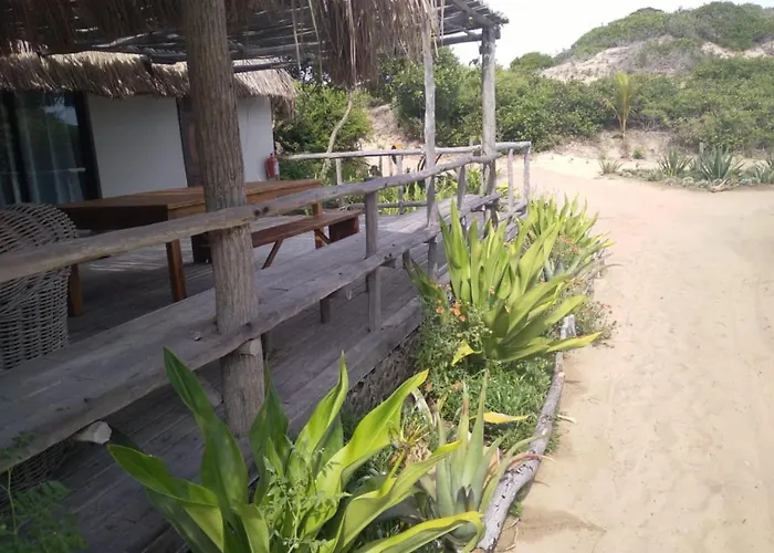 Sava Dunes